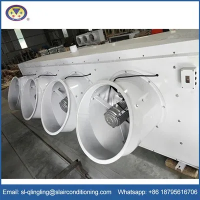 Refroidisseur d'air de stockage à congélation rapide